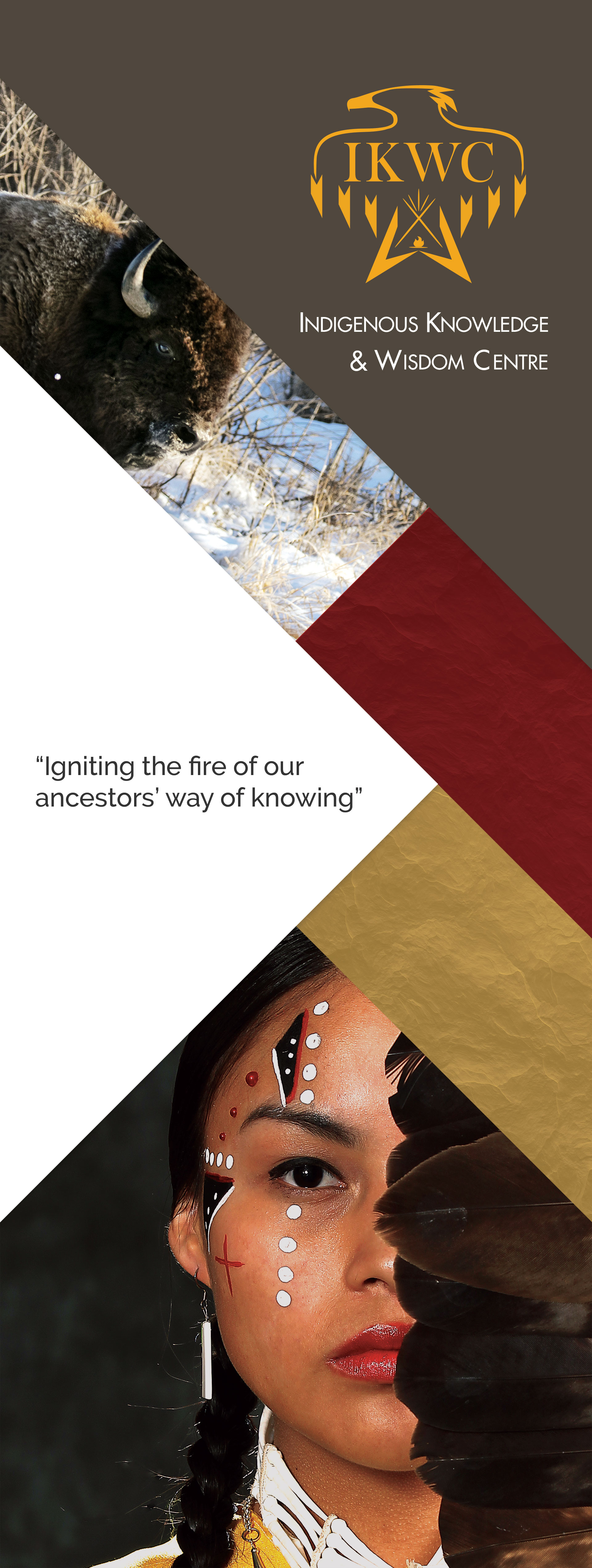 Web Creations - Custom Websites & Graphic Design